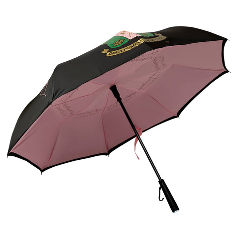 AKA inverted umbrella with light handle