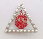 DST Shield and Pearls Pin