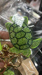 Chi eta phi turtle keychain